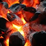 Boulets de charbon Ecocite 1T