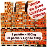 Briquette de lignite