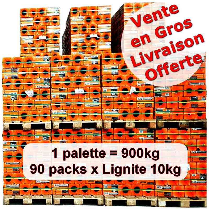 Briquette de lignite